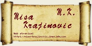 Miša Krajinović vizit kartica